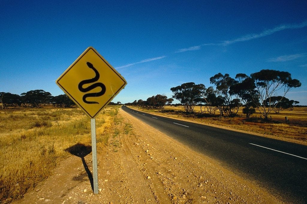 Caution Snake Crossing Next Km