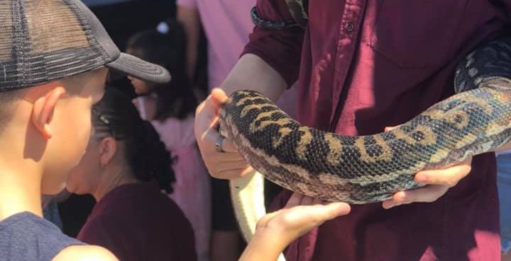 reptile events near me